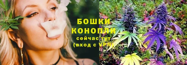 мяу мяу кристалл Няндома