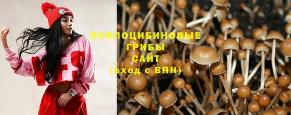 а пвп мука Алексеевка