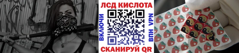 мориарти как зайти  Покров  Марки 25I-NBOMe 1500мкг  продажа наркотиков  ссылка на мегу рабочий сайт 